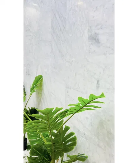 Kitchenbathroom 조리대를위한 자연 흰색 카라라 대리석 스톤 싱크 인테리어 외벽 홈 인테리어